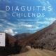 DIAGUITAS CHILENOS