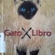 GATO POR LIBRO