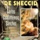 LA FUERZA DE SHECCID
