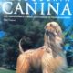 PELUQUERÍA CANINA