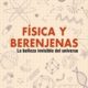 FÍSICA Y BERENJENAS