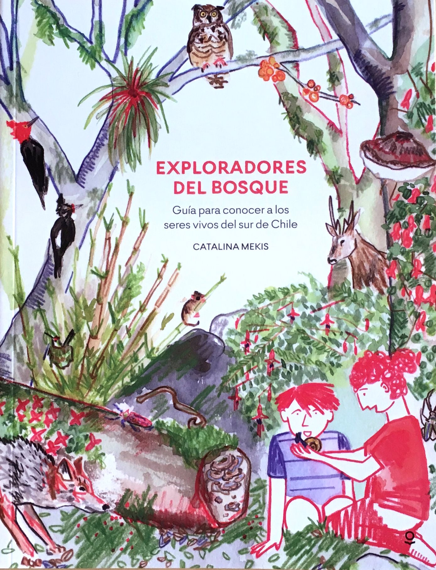 No hay una imagen disponible