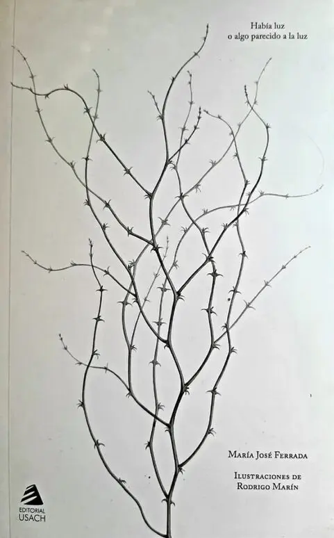 No hay una imagen disponible