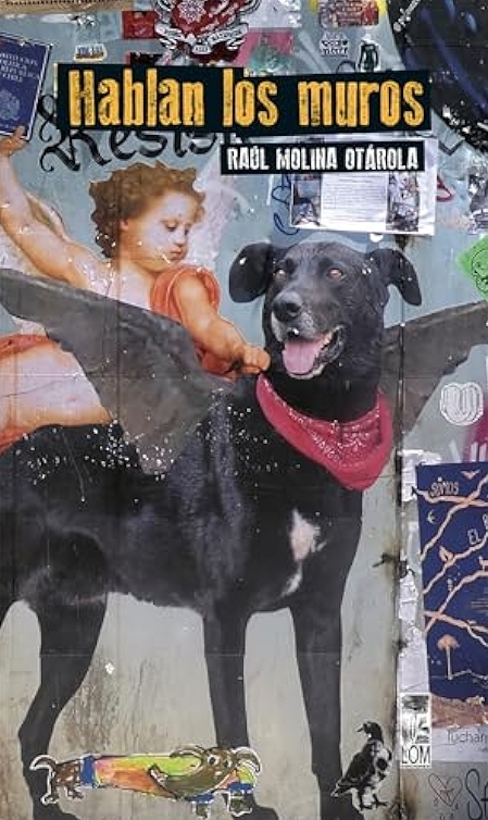 No hay una imagen disponible