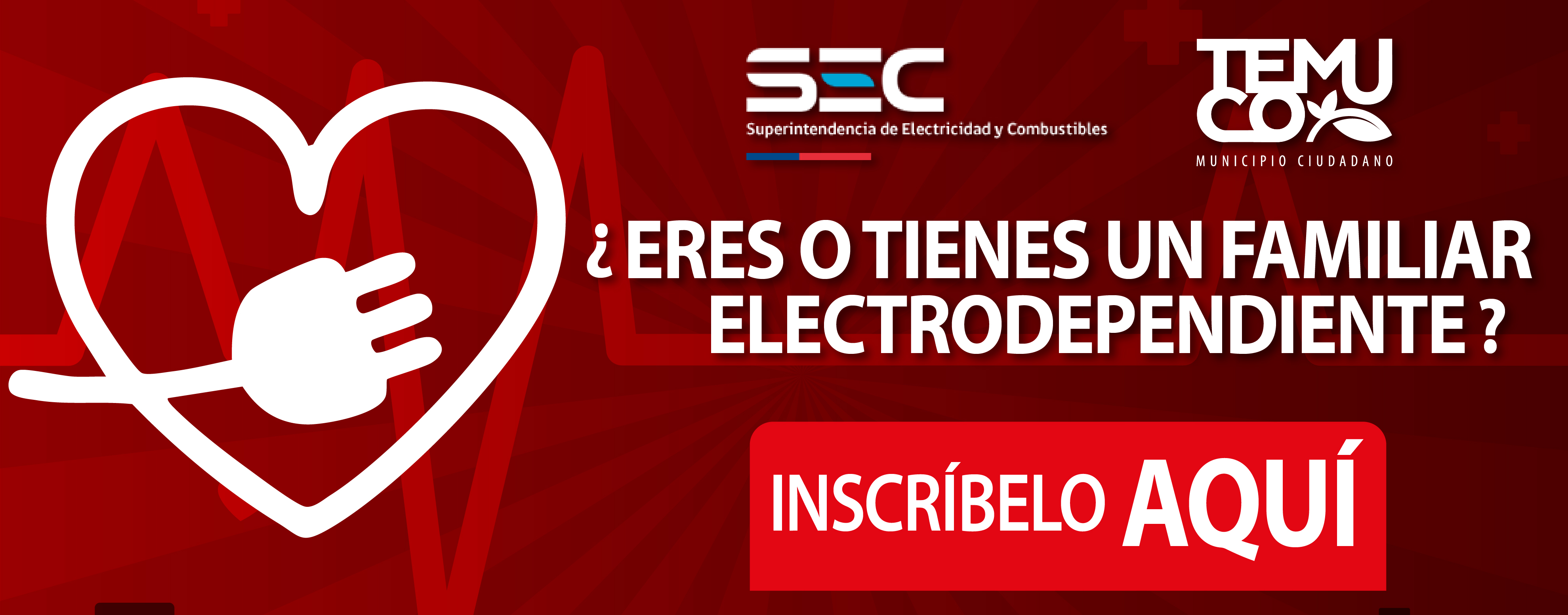 BANNER ELECTRODEPENDIENTE