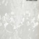 100 AÑOS DEL CLÁSICO ST. LEGER EN CHILE